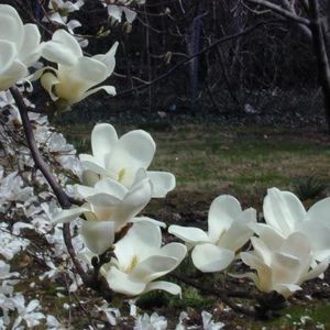 Meet your Posher, Candy